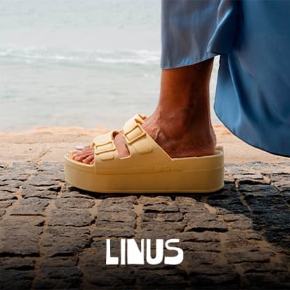 Linus dobra a meta de Black Friday com IA do Google Ads